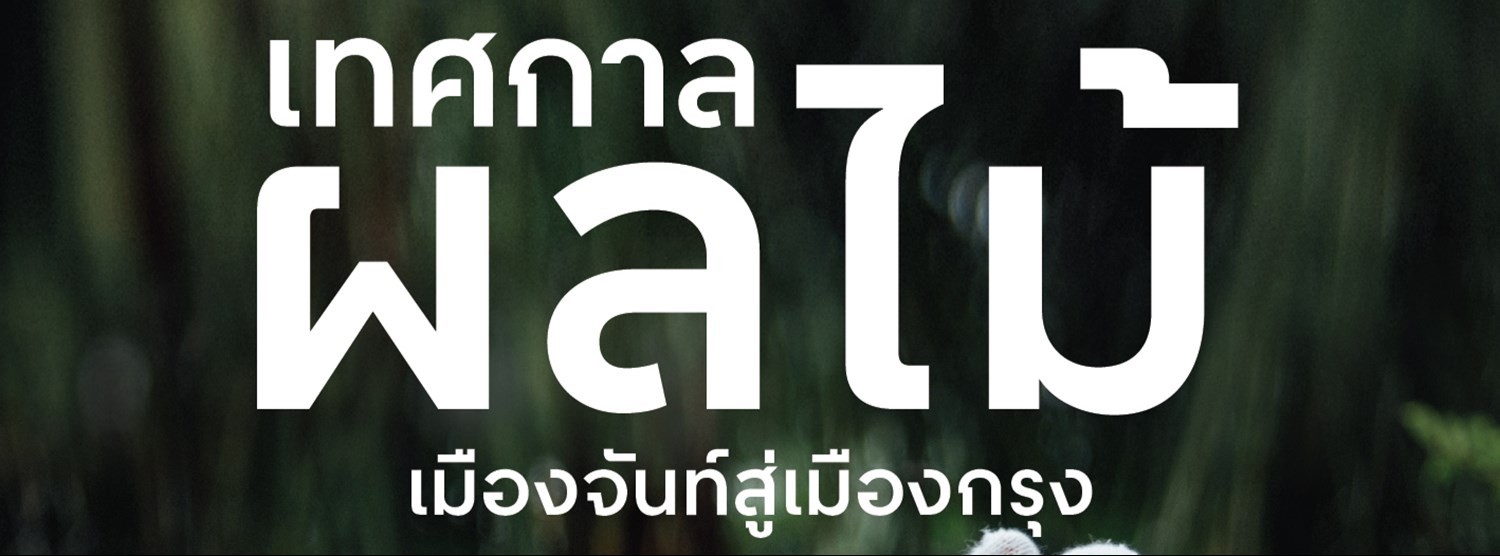 เทศกาลผลไม้เมืองจันท์สู่เมืองกรุง Zipevent