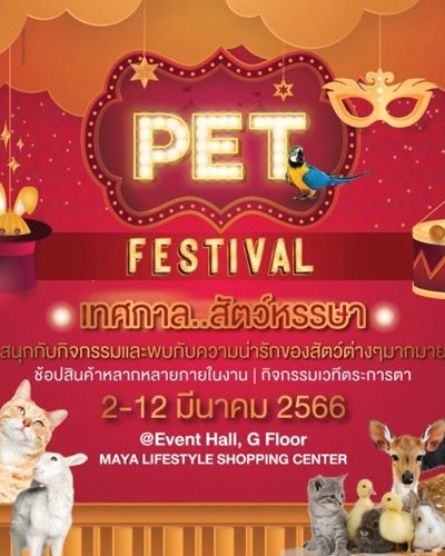 PET FESTIVAL Zipevent