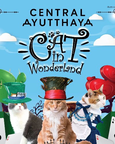 Cat in Wonderland Zipevent