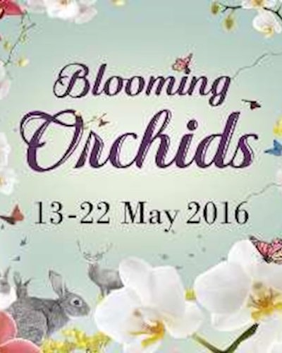 Blooming Orchids Zipevent