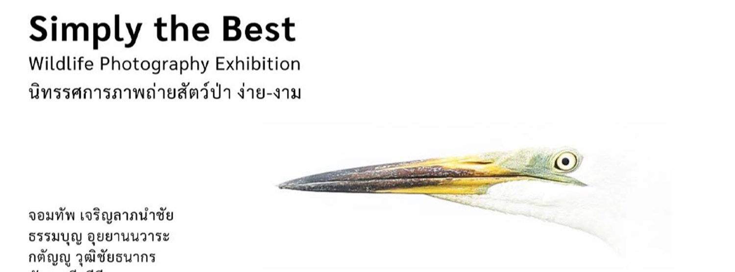 ง่าย-งาม Simply the Best Zipevent