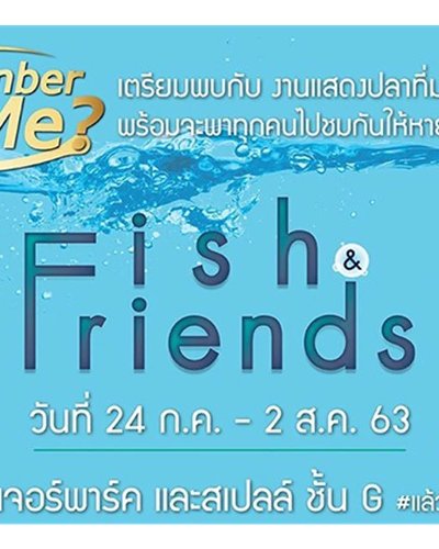 Fish & Friends Zipevent