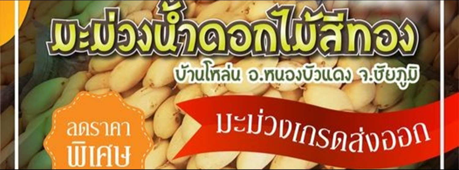 มะม่วงน้ำดอกไม้สีทอง Zipevent