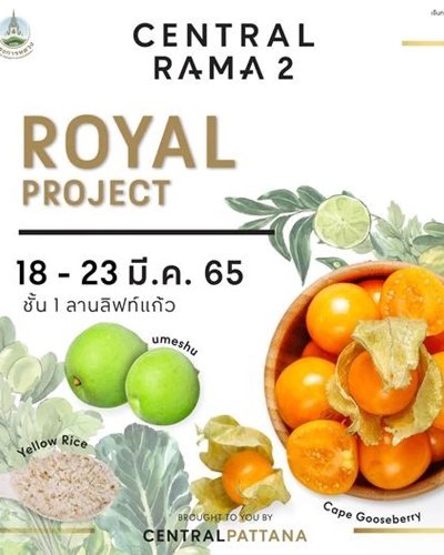 Royal Project Zipevent