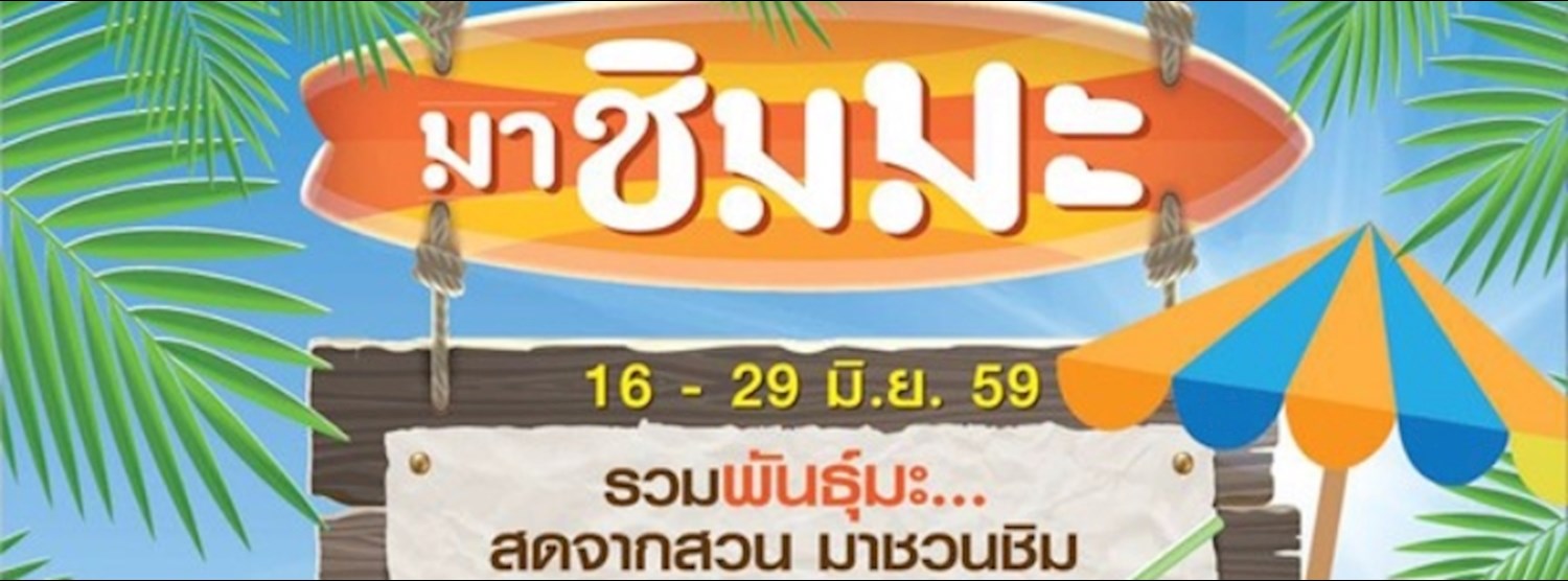 มาชิมมะ Zipevent