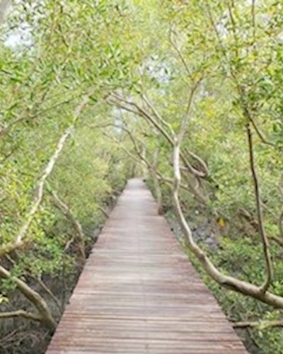 On-site experience: Wastewater Treatment Nature’s Way Zipevent