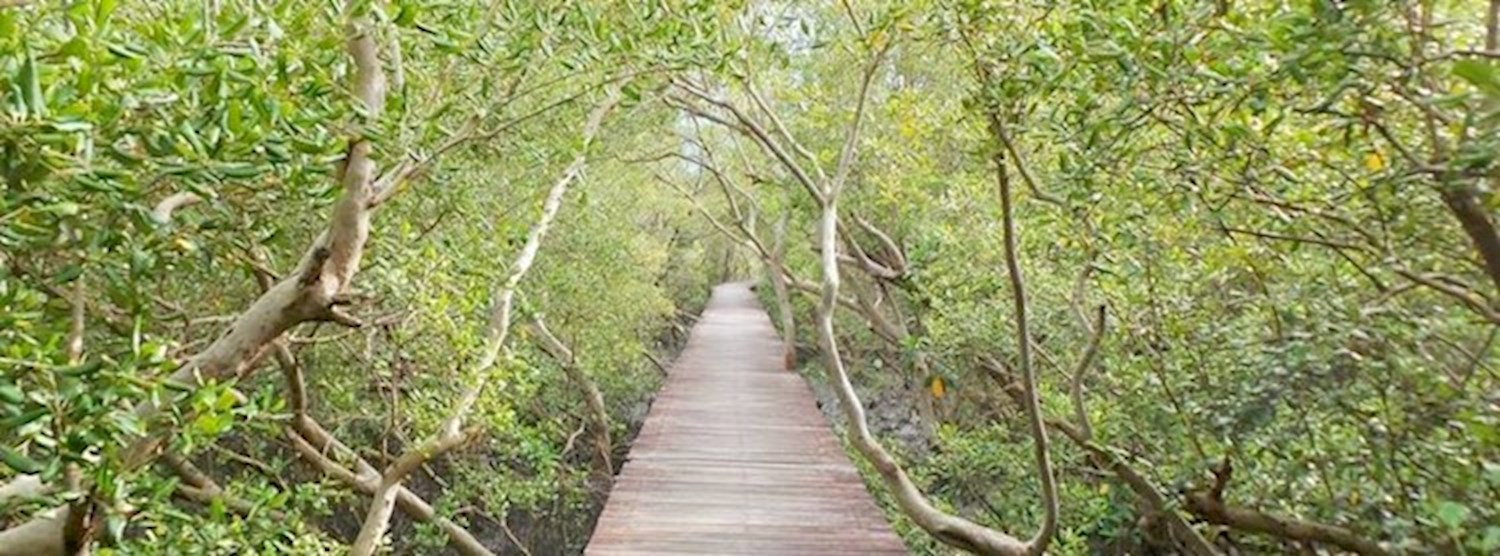 On-site experience: Wastewater Treatment Nature’s Way Zipevent