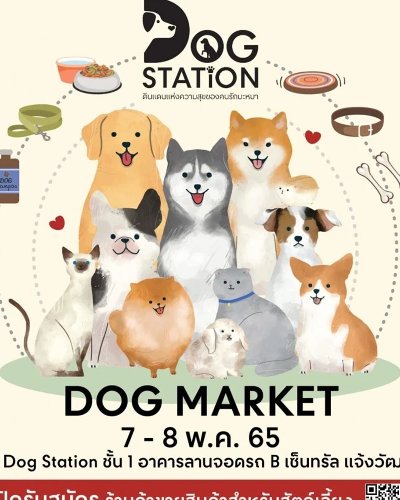 DOG MARKET Zipevent