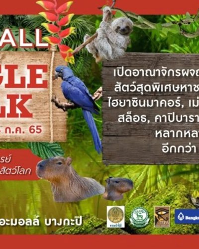 THE MALL JUNGLE WALK Zipevent