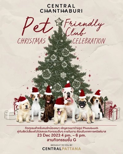 Pet Friendly Club Zipevent