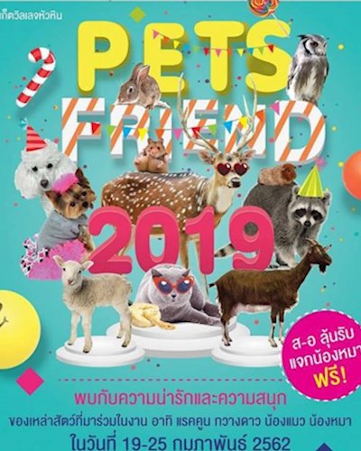 Pets Friends 2019 Zipevent