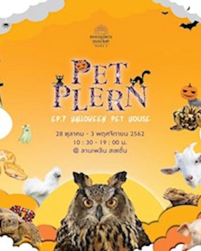 Pet Plern EP.7 : Halloween Pet House Zipevent