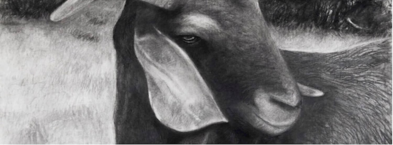 Exhibition - "The Goat Story" by Kedsuda Loogthong Zipevent