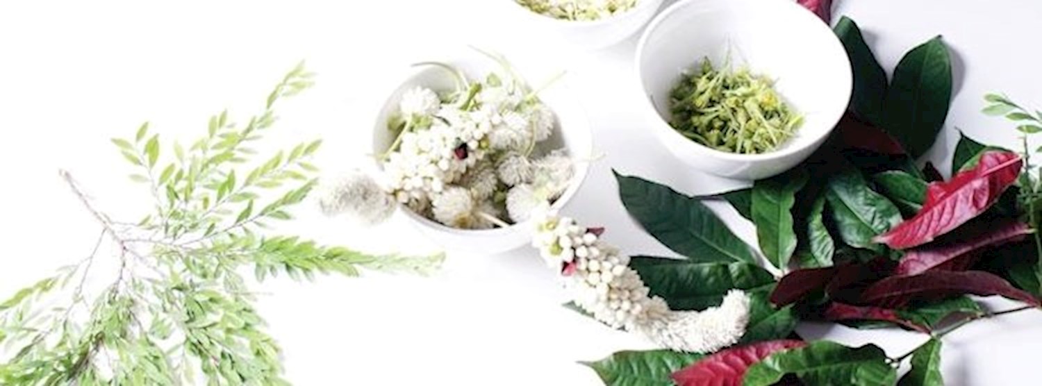 R.E.234 + Tentacles Workshops ( Malai Tua Gra Tae ) Zipevent