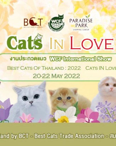 WCF International Show - Best Cats Of Thailand : 2022 Zipevent