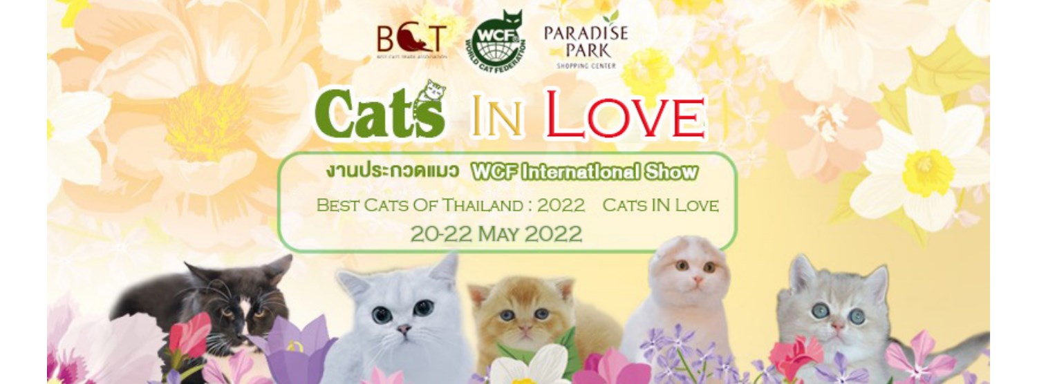 WCF International Show - Best Cats Of Thailand : 2022 Zipevent