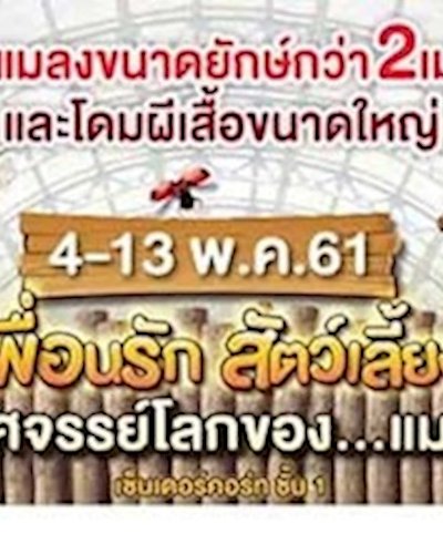 เพื่อนรัก สัตว์เลี้ยง 2018 มหัศจรรย์โลกของแมลง Zipevent