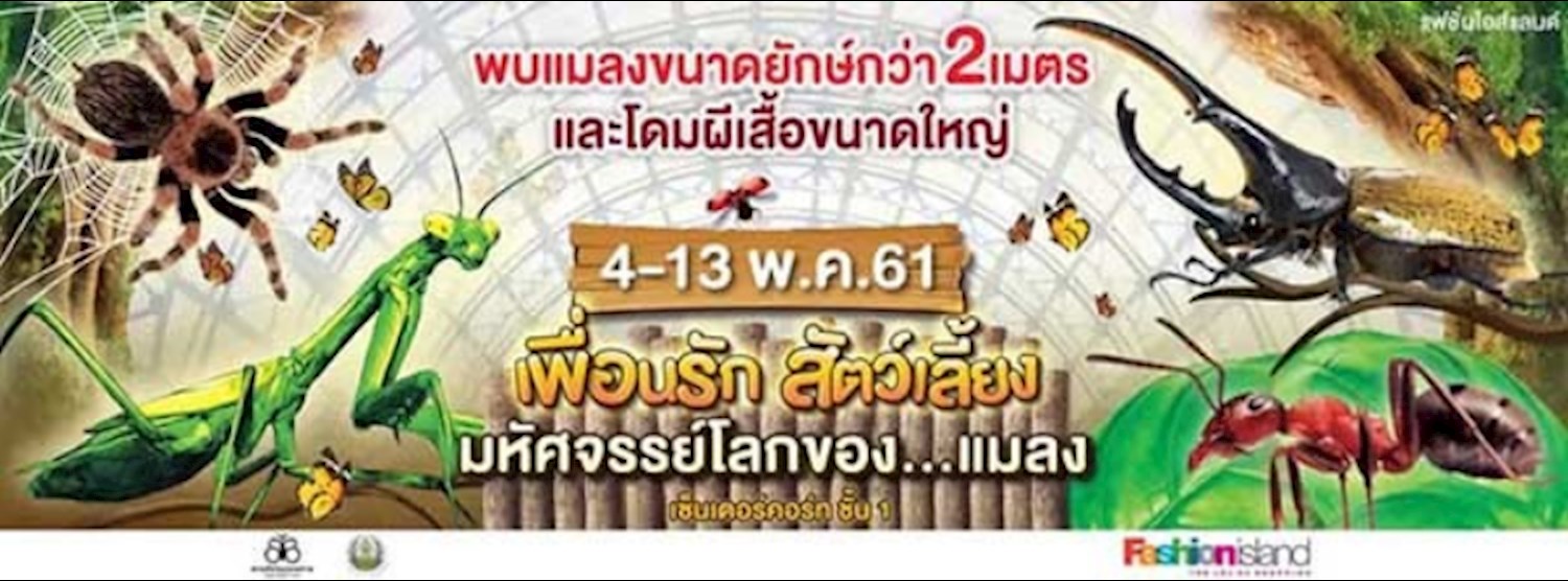เพื่อนรัก สัตว์เลี้ยง 2018 มหัศจรรย์โลกของแมลง Zipevent