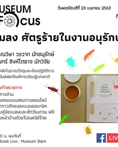 MuseuminFocusONLINE เสวนาในหัวข้อ "แมลง ศัตรูร้ายในงานอนุรักษ์" Zipevent