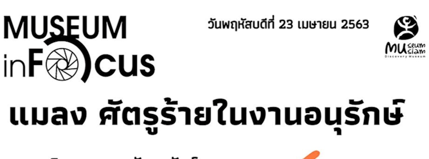 MuseuminFocusONLINE เสวนาในหัวข้อ "แมลง ศัตรูร้ายในงานอนุรักษ์" Zipevent