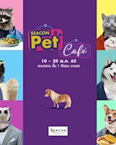Seacon Pet Café Zipevent