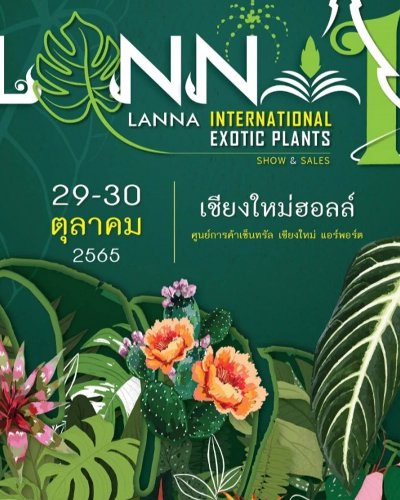 Lanna International Exotic Plant Zipevent