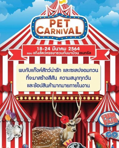 Pet Carnival ตอน แก๊งค์สัตว์หรรษาชวนกันมาป่วนเซ็นทรัล Zipevent