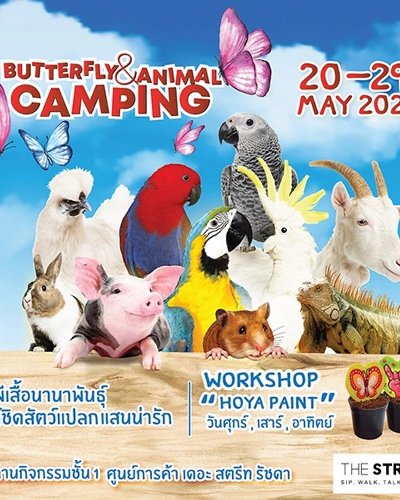 Butterfly & Animal Camping Zipevent