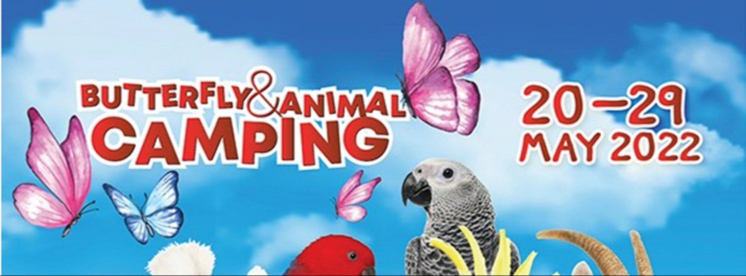 Butterfly & Animal Camping Zipevent