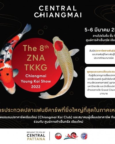 The 8th ZNA TKKG Chiangmai Young Koi Show 2022 Zipevent