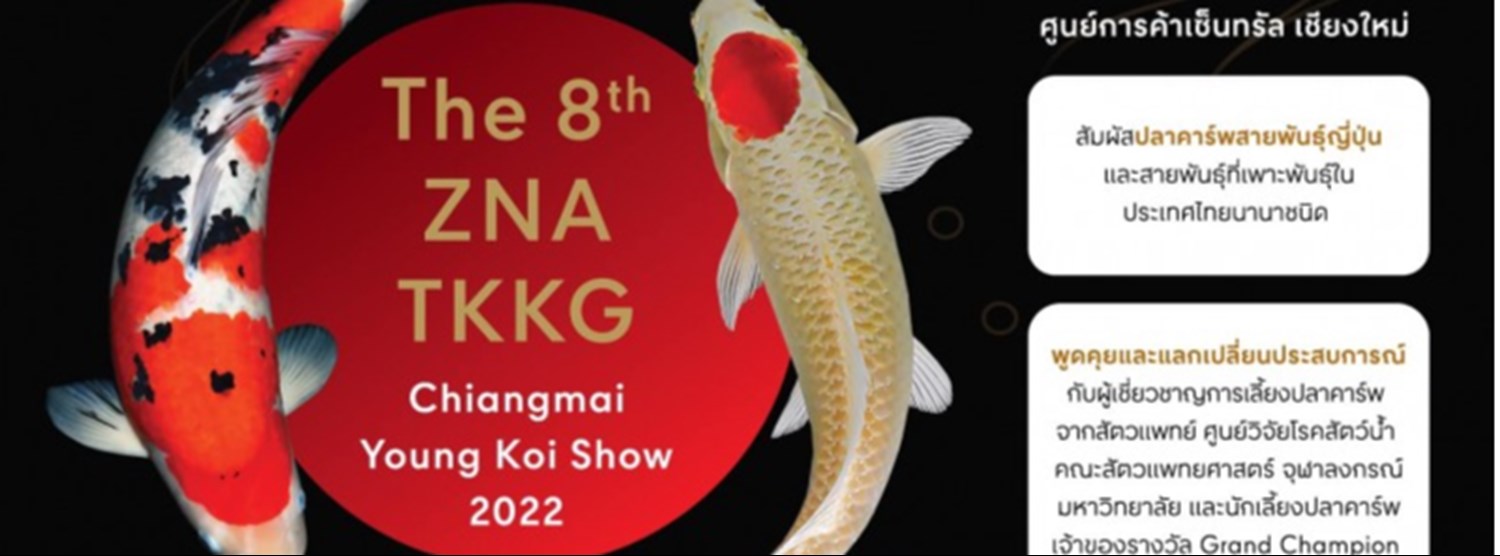 The 8th ZNA TKKG Chiangmai Young Koi Show 2022 Zipevent