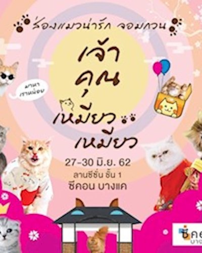 เจ้าคุณเหมียว..เหมียว Zipevent