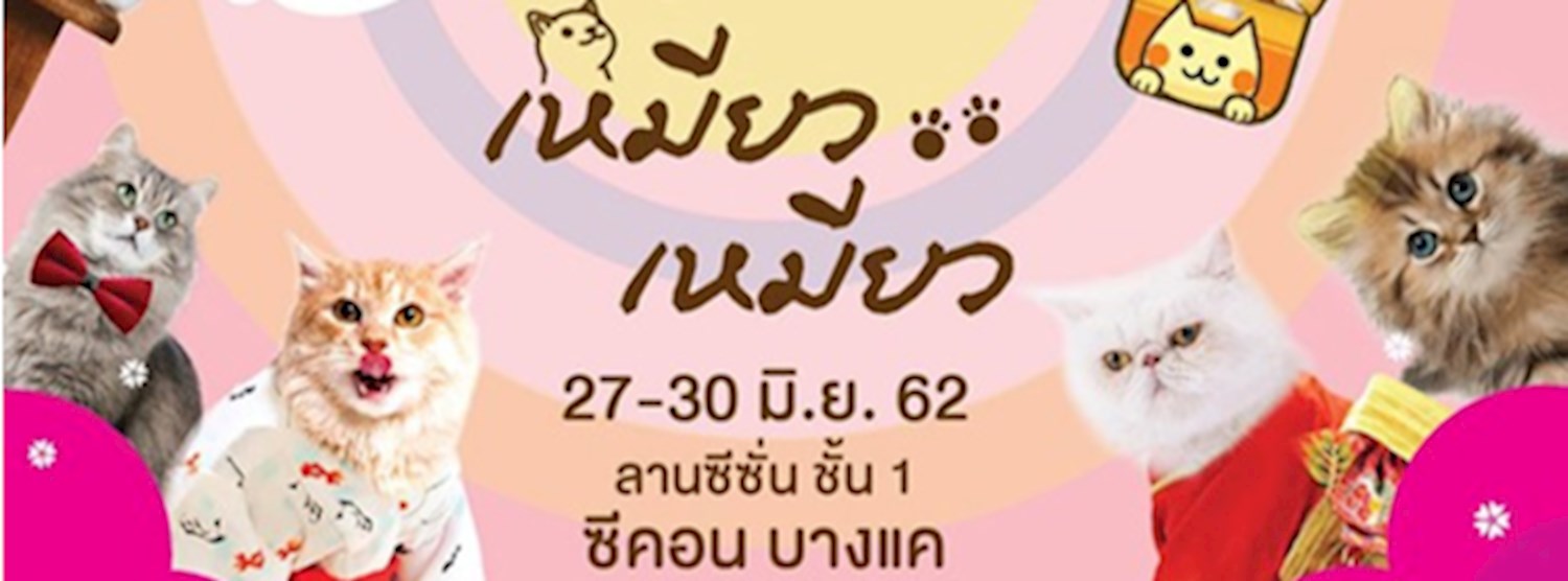 เจ้าคุณเหมียว..เหมียว Zipevent
