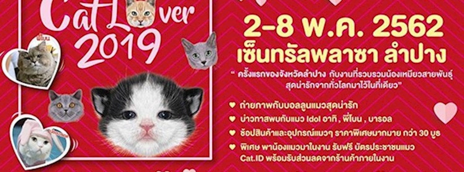 Cat Lover 2019 Zipevent