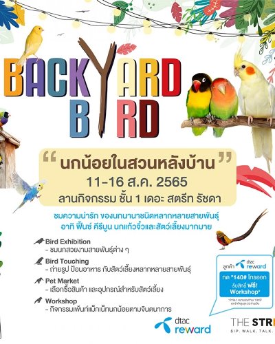 The Street Backyard Birds Zipevent