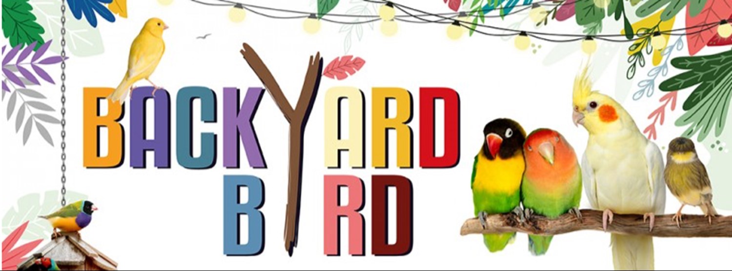 The Street Backyard Birds Zipevent