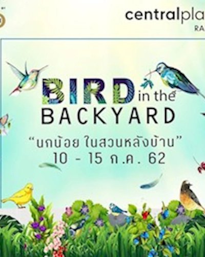 Bird in the Backyard Zipevent