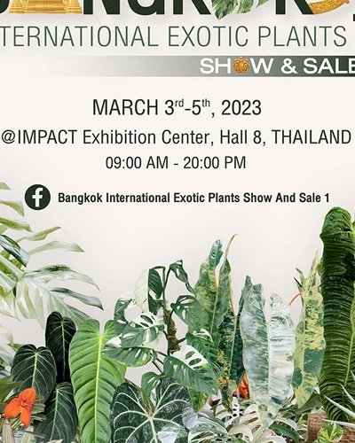Bangkok International Exotic Plant Show and Sale 1 Zipevent