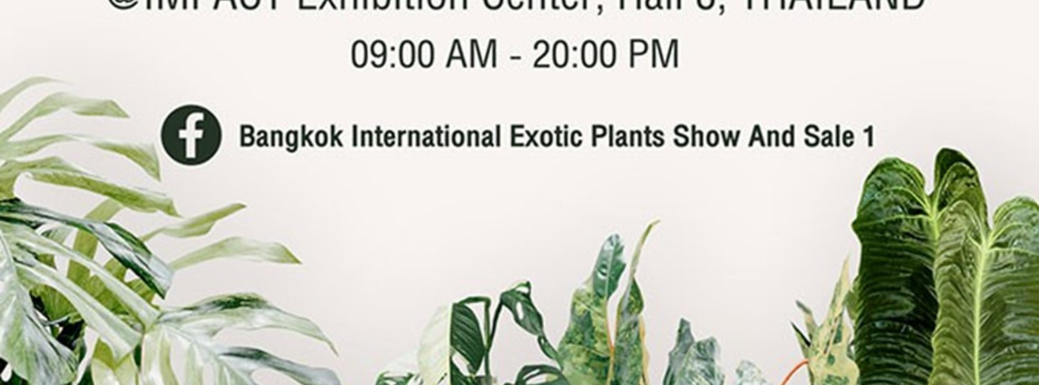 Bangkok International Exotic Plant Show and Sale 1 Zipevent