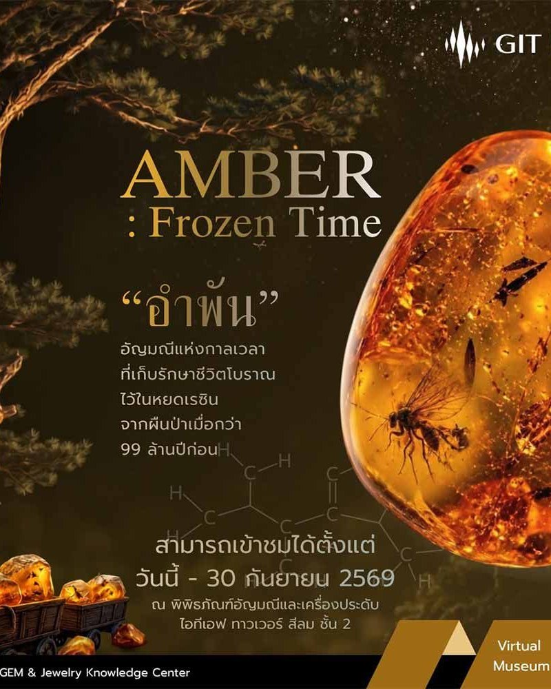 AMBER : Frozen Time Zipevent