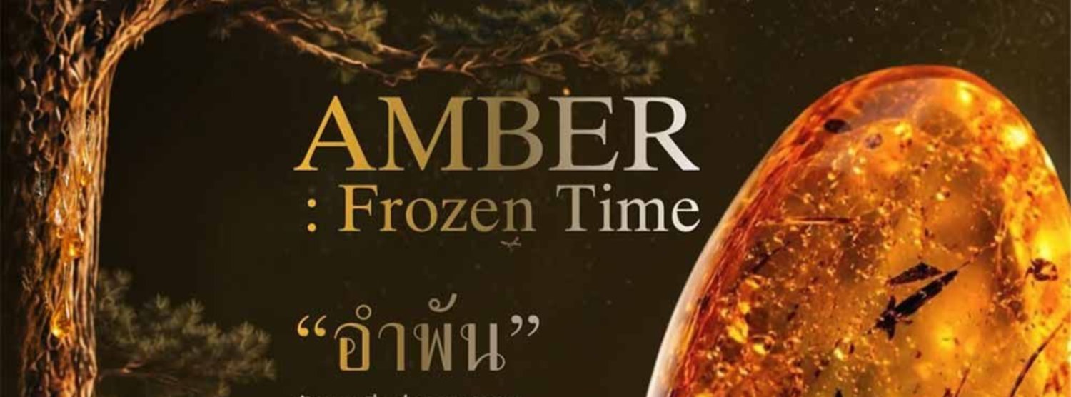 AMBER : Frozen Time Zipevent
