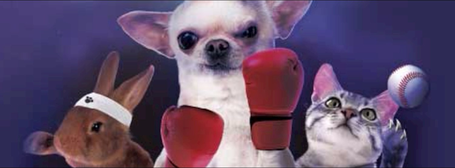 Pet Expo Championship 2017 Zipevent