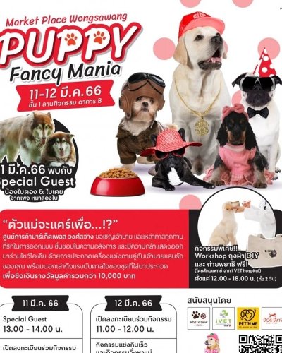 Market Place Wongsawang Puppy Fancy Mania Zipevent