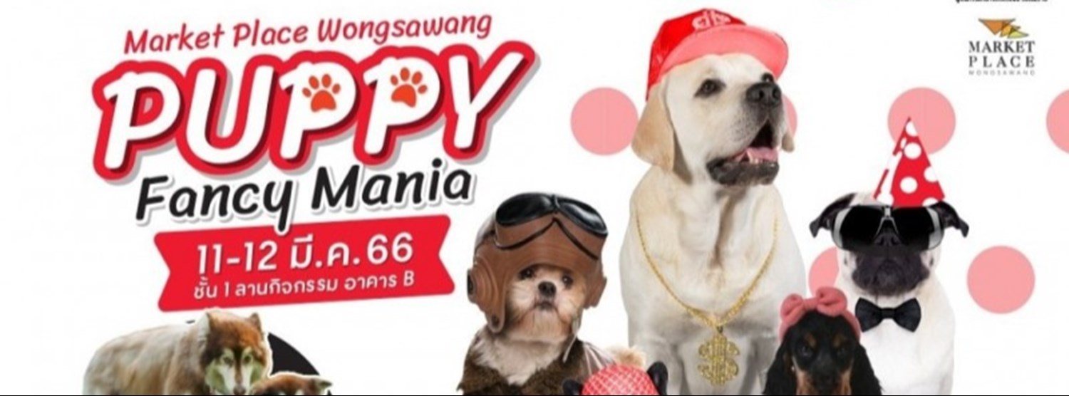 Market Place Wongsawang Puppy Fancy Mania Zipevent
