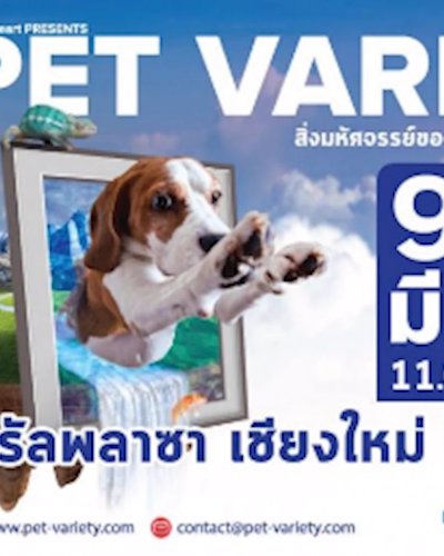 Pet Variety ตอน สิ่งมหัศจรรย์ของโลกสัตว์เลี้ยง Zipevent