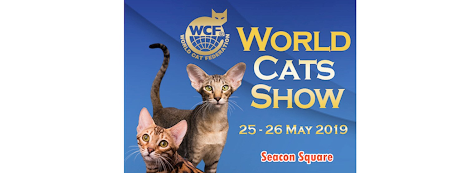 ประกวดน้องเหมียว สายพันธุ์แท้ระดับนานาชาติ Zipevent