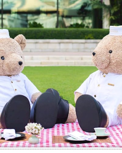 Teddy Bear Picnic Zipevent