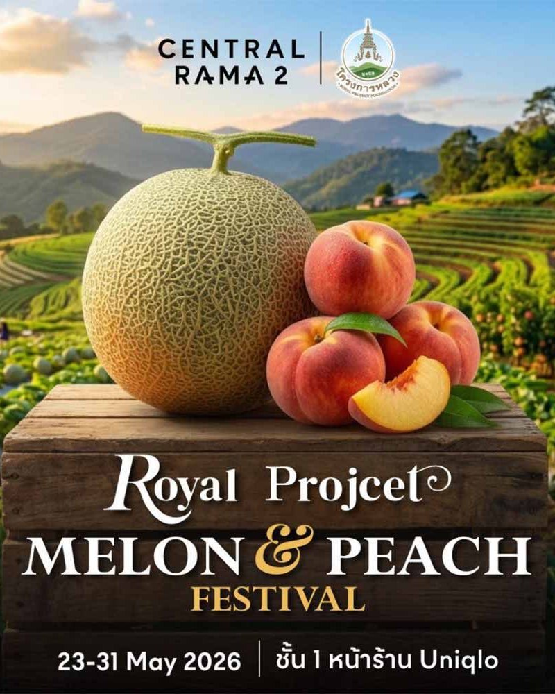 Royal Project Melon & Peach Festival Zipevent