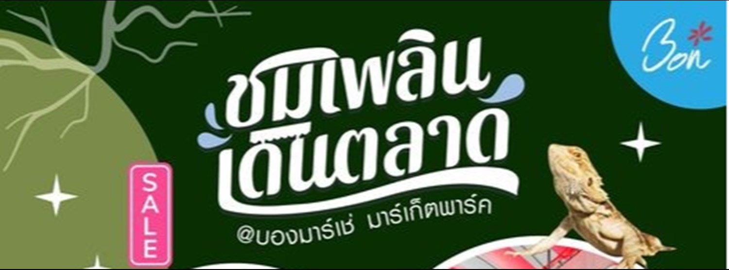 ชมเพลิน เดินตลาด Zipevent