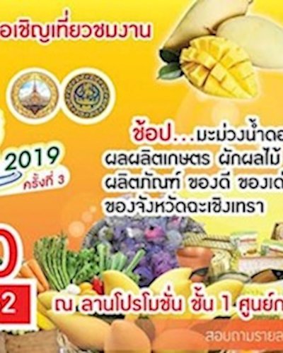 มหกรรมของดีฉะเชิงเทรา 2019 ครั้งที่ 3 Zipevent